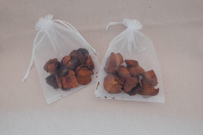 Patricia-Ivan (20)
