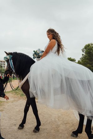 UDH04969